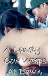 Lonely Cow Weeps at Dawn